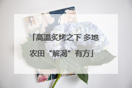 高温炙烤之下 多地农田“解渴”有方