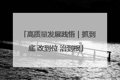 高质量发展践悟｜抓到底 改到位 治到根