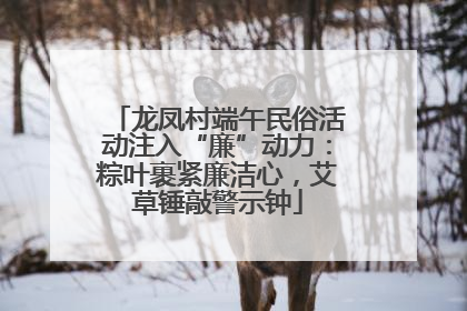 龙凤村端午民俗活动注入“廉”动力：粽叶裹紧廉洁心，艾草锤敲警示钟