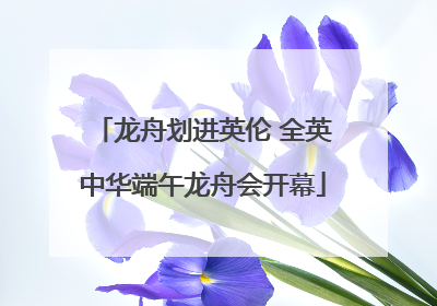 龙舟划进英伦 全英中华端午龙舟会开幕