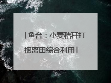 鱼台：小麦秸秆打捆离田综合利用