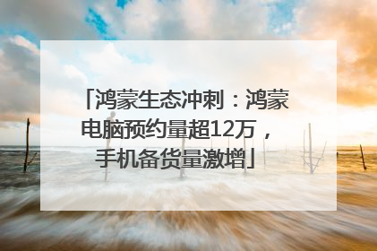 鸿蒙生态冲刺：鸿蒙电脑预约量超12万，手机备货量激增