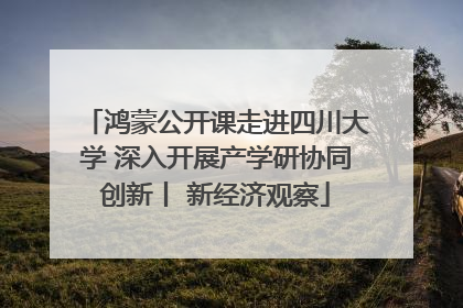 鸿蒙公开课走进四川大学 深入开展产学研协同创新丨 新经济观察