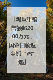 鸡蛋年销售额超2000万元，国企白领返乡抓“鸡”遇