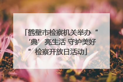 鹤壁市检察机关举办“‘典’亮生活 守护美好”检察开放日活动