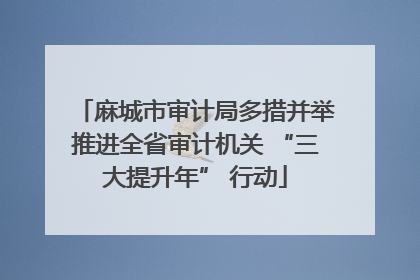 麻城市审计局多措并举推进全省审计机关 “三大提升年” 行动