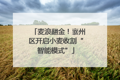 麦浪翻金！襄州区开启小麦收割“智能模式”