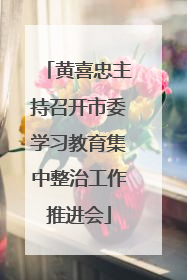 黄喜忠主持召开市委学习教育集中整治工作推进会