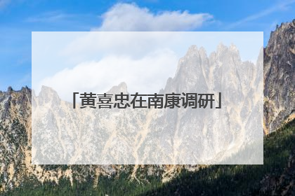 黄喜忠在南康调研