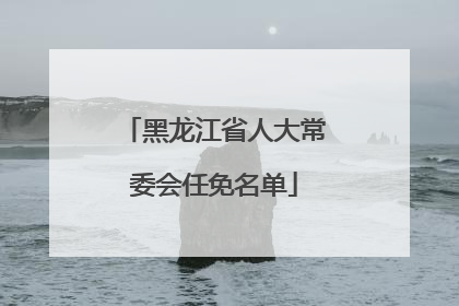 黑龙江省人大常委会任免名单
