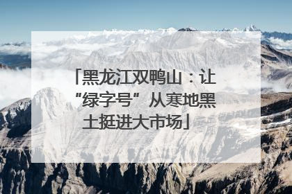 黑龙江双鸭山：让“绿字号”从寒地黑土挺进大市场