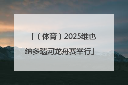 （体育）2025维也纳多瑙河龙舟赛举行