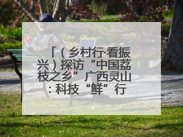（乡村行·看振兴）探访“中国荔枝之乡”广西灵山：科技“鲜”行 实“荔”C位