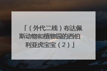 （外代二线）布达佩斯动物和植物园的西伯利亚虎宝宝（2）