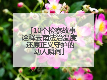 10个检察故事诠释云南法治温度 还原正义守护的动人瞬间
