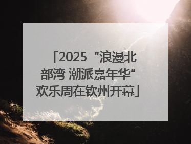 2025“浪漫北部湾 潮派嘉年华”欢乐周在钦州开幕