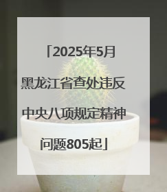2025年5月黑龙江省查处违反中央八项规定精神问题805起