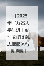 2025年“万名大学生进千站”文明实践志愿服务行动启动