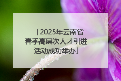2025年云南省春季高层次人才引进活动成功举办