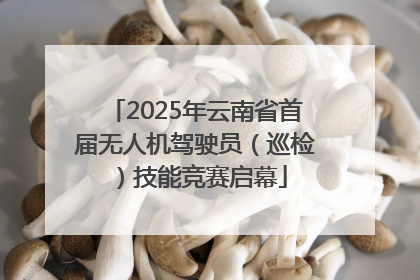 2025年云南省首届无人机驾驶员（巡检）技能竞赛启幕