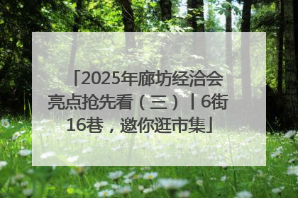 2025年廊坊经洽会亮点抢先看（三）丨6街16巷，邀你逛市集