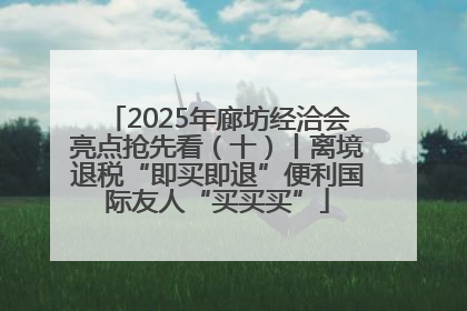 2025年廊坊经洽会亮点抢先看（十）丨离境退税“即买即退”便利国际友人“买买买”