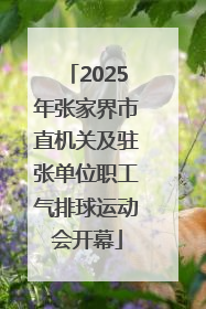 2025年张家界市直机关及驻张单位职工气排球运动会开幕