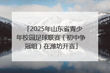 2025年山东省青少年校园足球联赛（初中争冠组）在潍坊开赛