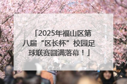 2025年福山区第八届“区长杯”校园足球联赛圆满落幕！