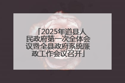 2025年道县人民政府第一次全体会议暨全县政府系统廉政工作会议召开