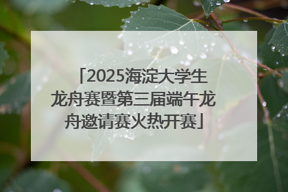 2025海淀大学生龙舟赛暨第三届端午龙舟邀请赛火热开赛