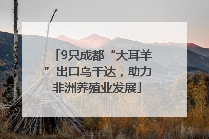 9只成都“大耳羊”出口乌干达，助力非洲养殖业发展