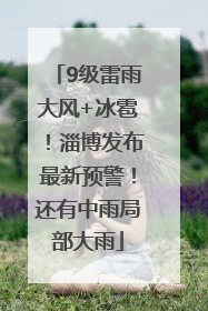 9级雷雨大风+冰雹！淄博发布最新预警！还有中雨局部大雨