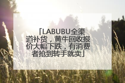 LABUBU全渠道补货，黄牛回收报价大幅下跌，有消费者抢到转手就卖