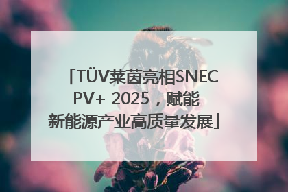 TÜV莱茵亮相SNEC PV+ 2025，赋能新能源产业高质量发展